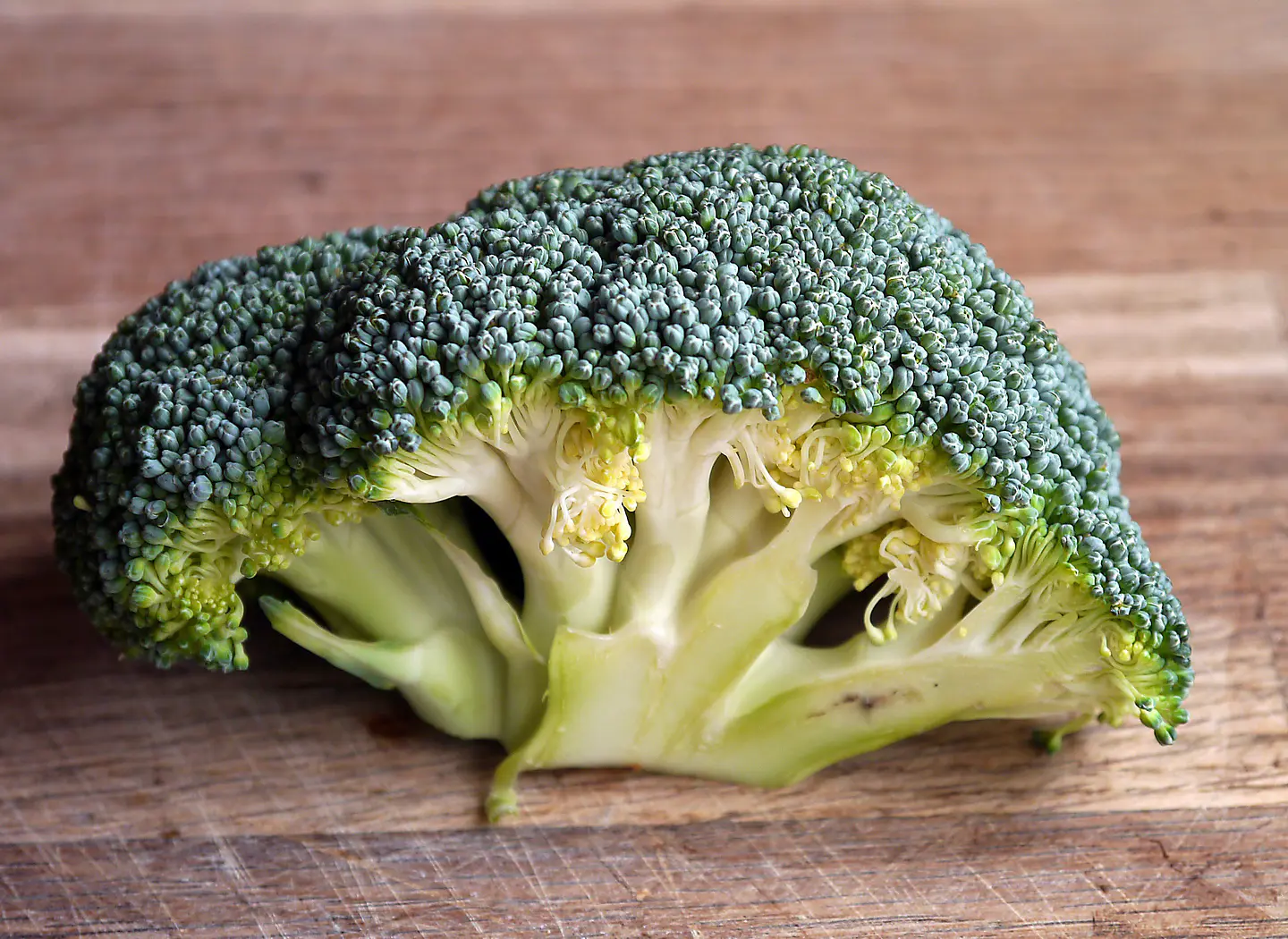 BROCOLI UNIDAD 1