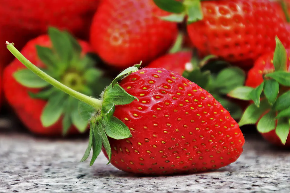 Frutas de temporada