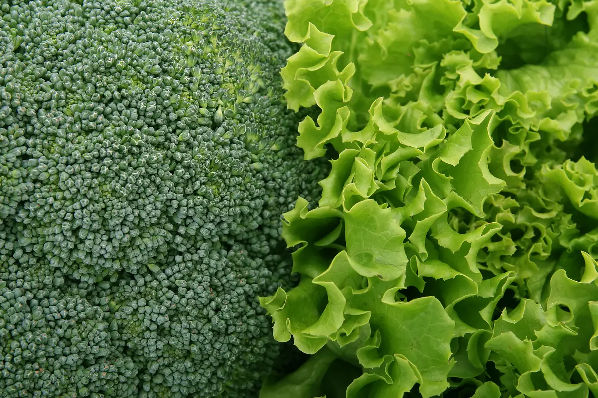 Verduras de calidad