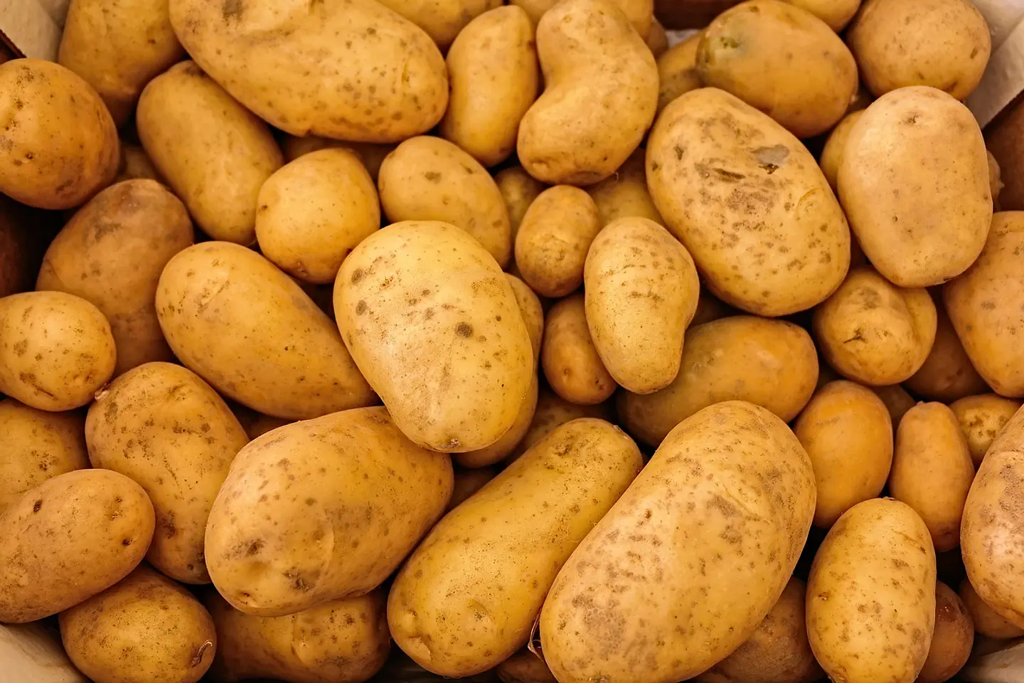 Tu mercado fresco online