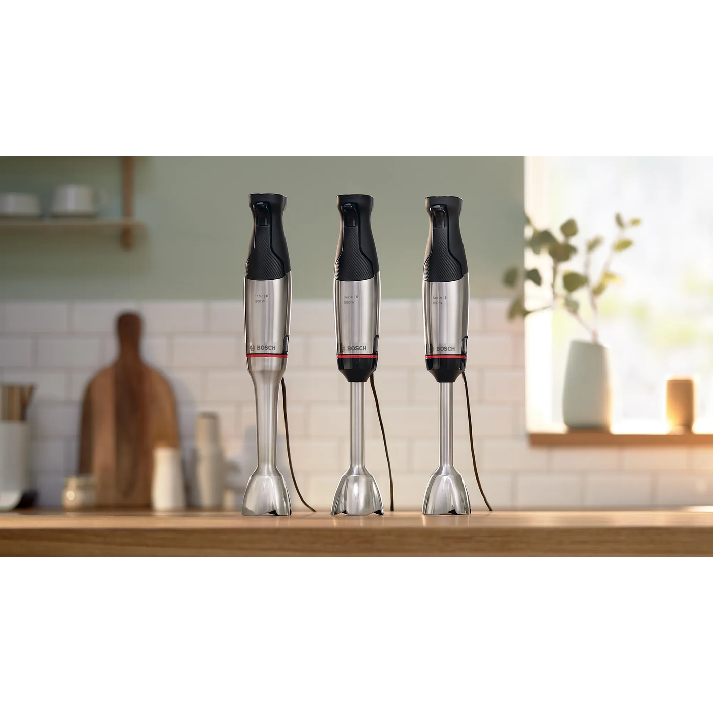 Serie 6 Batidora de mano ErgoMaster 1200 W Acero inoxidable 8