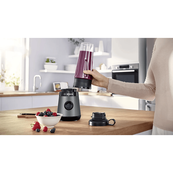 Serie 2 Batidora de vaso VitaPower 450 W Plata 16