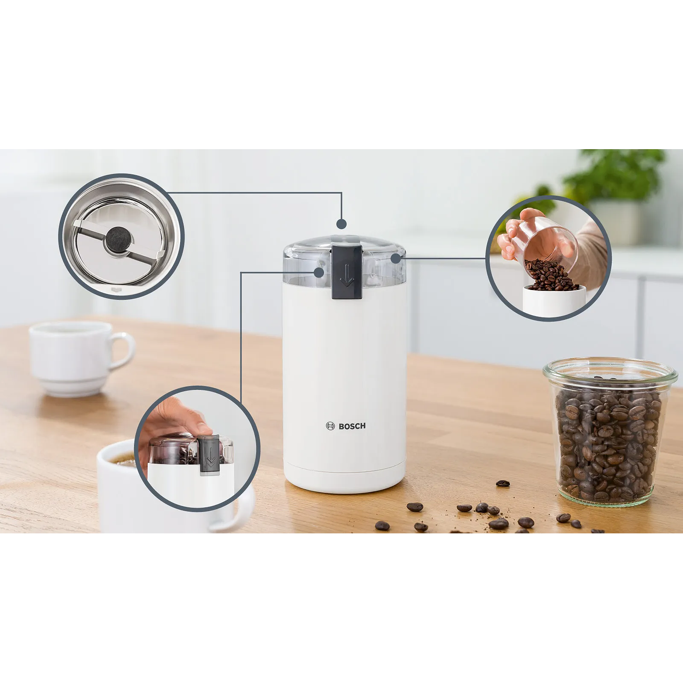 Molinillo de café Blanco BOSCH 6