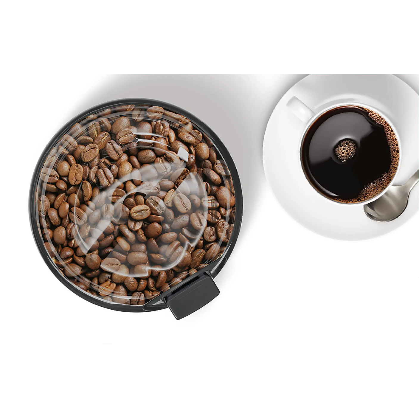 Molinillo de café Blanco BOSCH 13