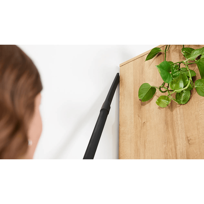 Serie 4 Aspirador con bolsa ProAnimal Rojo BOSCH 9