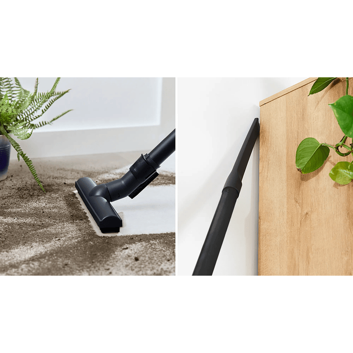 Serie 4 Aspirador con bolsa ProAnimal Rojo con Filtro Higiénico Lavable BOSCH 16