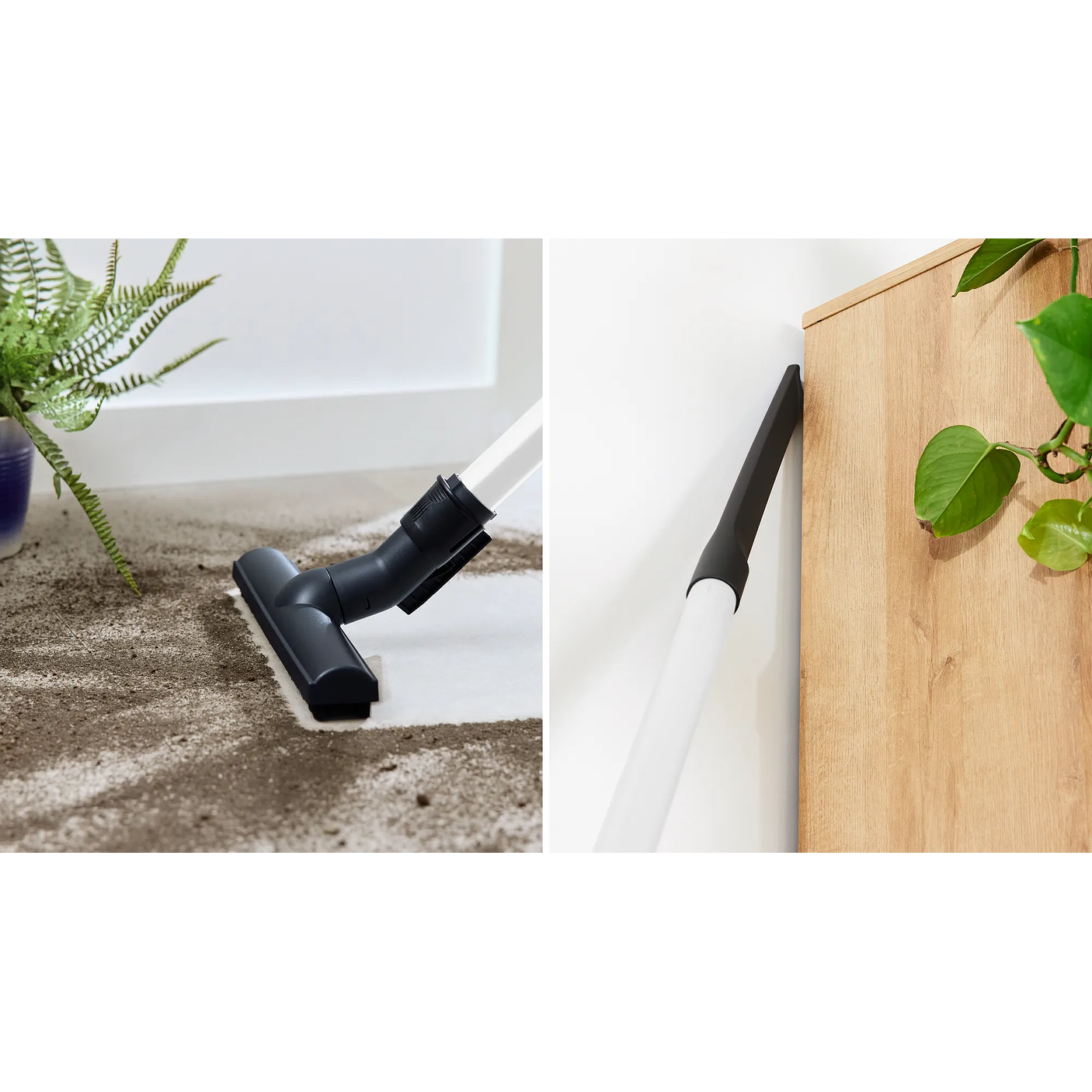 Serie 4 Aspirador con bolsa ProHygienic Blanco BOSCH 9