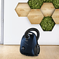 Serie 2 Aspirador con bolsa Azul BOSCH - Miniatura 6