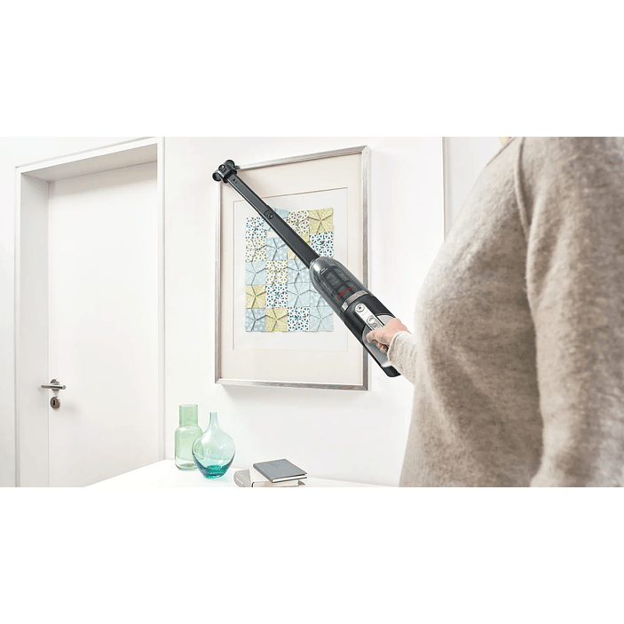 Aspiradora sin cable Flexxo Gen2 28Vmax ProAnimal Rojo BOSCH 10