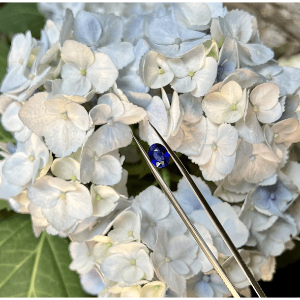 Zafiro-0.60ct-5.7x3.9mm 