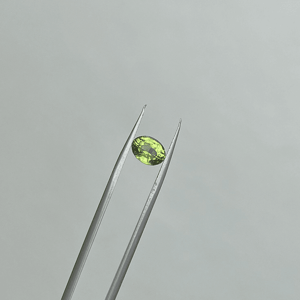 Peridoto Pakistán-1.70ct-8.0x6.0mm 