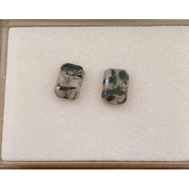 Par de ágatas musgosas corte octágono 6.40ct 14.3x10.3mm 