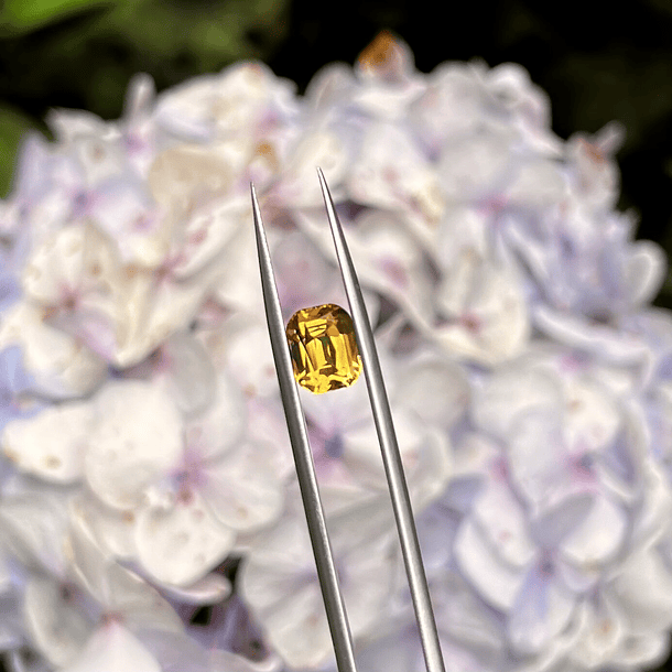 Citrino-2.60ct-8.8x6.8mm 