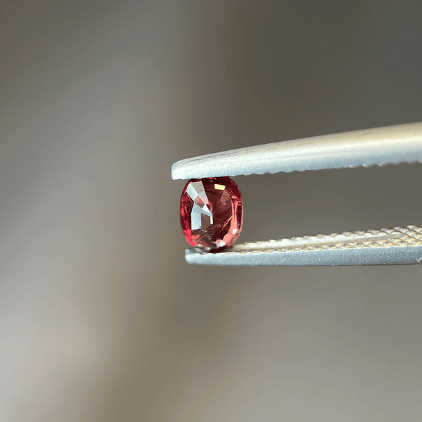 Rubí sangre de pichón-0.465ct-5.4x3.7x2.3mm  2