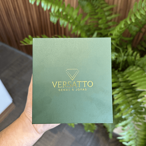 Estuche Versatto  1
