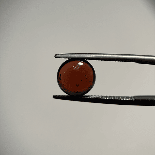 Granate rojo cabujón-4.39ct-10x4mm 1