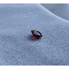 Granate rodolita-2.15ct-7x6.9x4.7mm 2