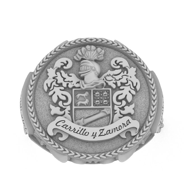 Anillo tipo sello/ diseño especial en plata ley 925 talla 12