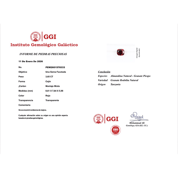 Granate rojo crimson GGI-3.65ct-8.61x7.64x5.98mm 4