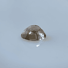 Morganita-2.50ct-10x7.6x5.4mm 2