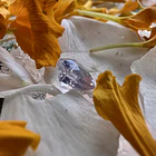 Cuarzo lavanda-1.185ct-7x7mm 3