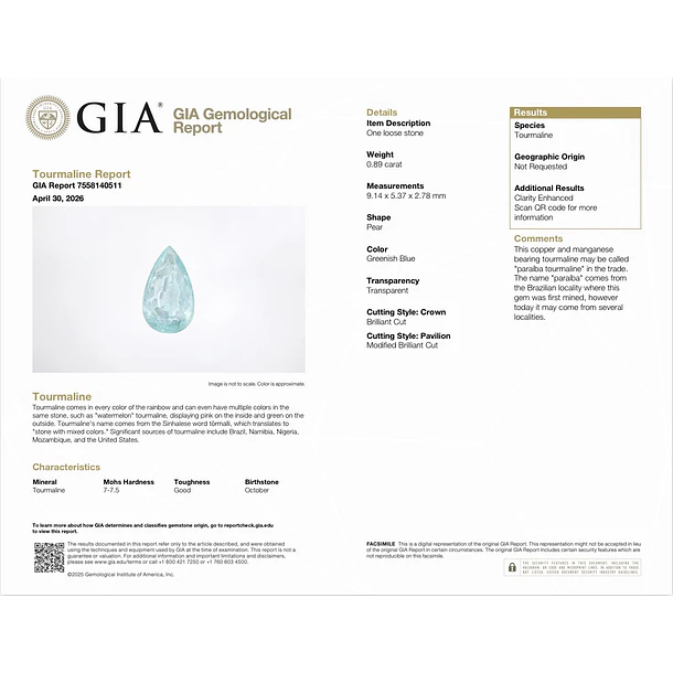 Turmaliba paraíba-0.89ct-9.14x5.37x2.78mm 4