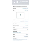 Turmalina paraíba GIL-1.19ct-7.90x6.13x4.23mm 4