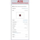 Circón AIG-3.80ct-8.81x7.81x4.87mm 4
