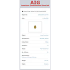 Circón natural AIG-2.45ct-9.04x6.27x5.22mm 4