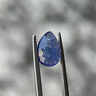 Tanzanita–3.05ct–11.1x8.1x4.7mm 3
