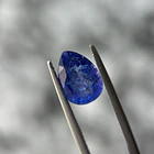 Tanzanita–3.05ct–11.1x8.1x4.7mm 1
