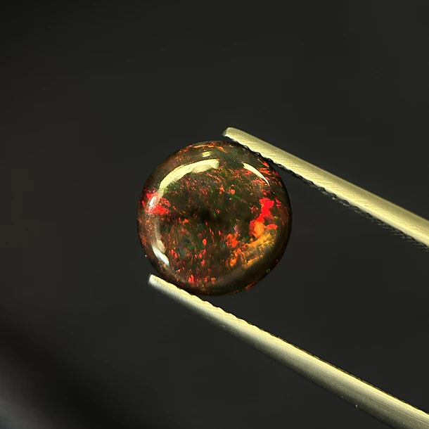 Ópalo–2.455ct–10.1x5.2mm 3