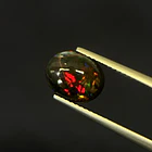 Ópalo–1.505ct–10x8x3.9mm 1
