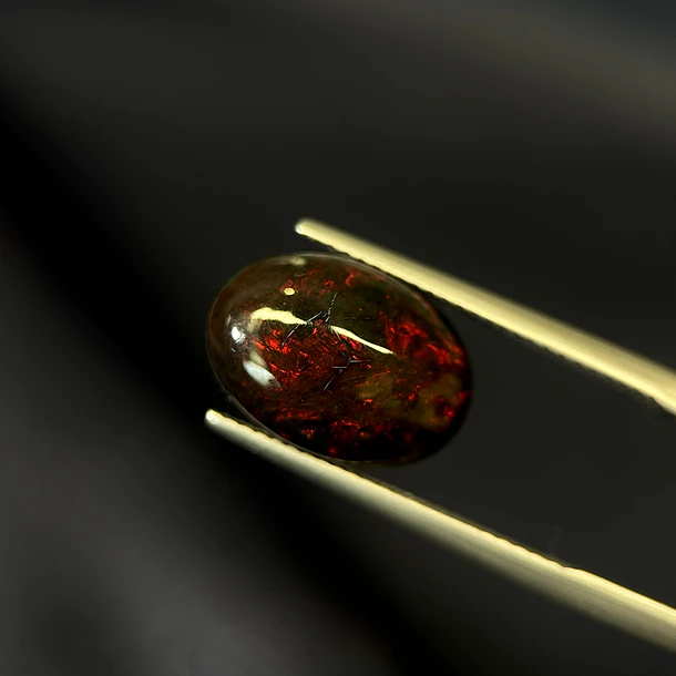 Ópalo–3.72ct–14.12x10.07x5.12mm 1