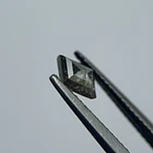 Salt and pepper-0.60ct-7.01x5.15x2.56mm 2