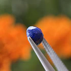 Lapislázuli-1.70ct-7.3x7.3x4.2mm 2