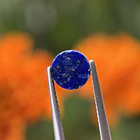 Lapislázuli-1.70ct-7.3x7.3x4.2mm 3