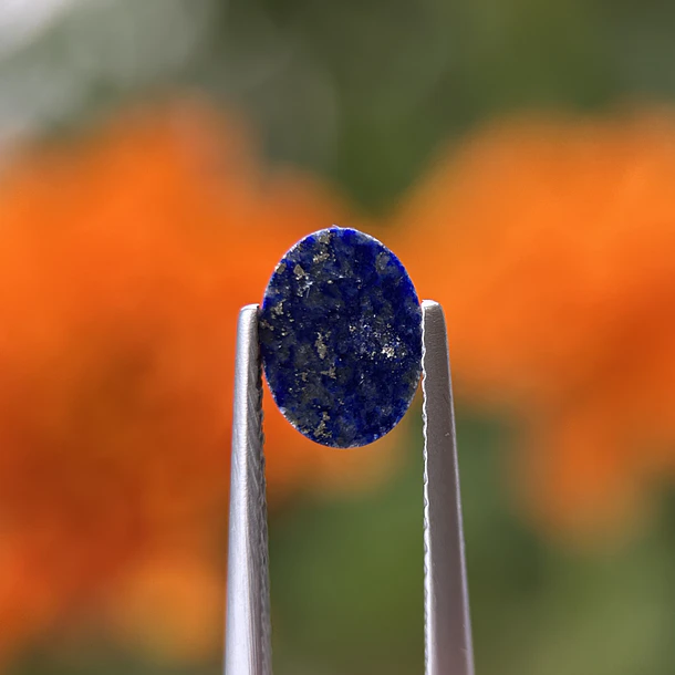 Lapislázuli-1.60ct-8x5.8x3.7mm 2