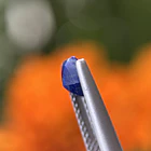 Lapislázuli-0.70ct-6.7x4.8x3.1mm 2