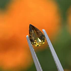Turmalina-0.70ct-8.1x5.2x2.9mm 1