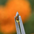 Turmalina-0.70ct-8.1x5.2x2.9mm 2