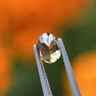 Turmalina-0.65ct-6.9x4.9x3.4mm 3