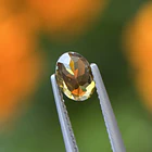 Turmalina-0.80ct-7.3x5.1x2.9mm 3
