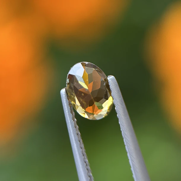 Turmalina-0.80ct-7.3x5.1x2.9mm 3