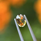 Turmalina-0.75ct-7.1x5x2.9mm 3