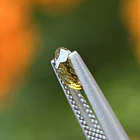Turmalina-0.75ct-7.1x5x2.9mm 2