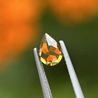 Turmalina-0.70ct-6.9x5x2.8mm 3