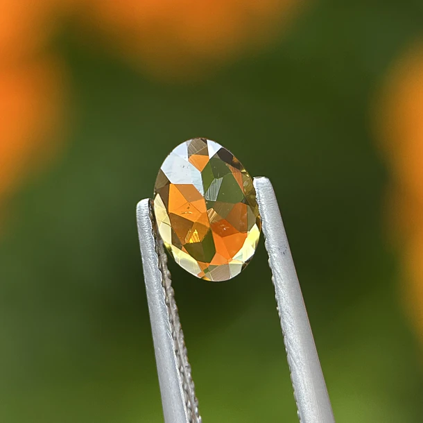 Turmalina-0.55ct-7.2x5x2.5mm 3