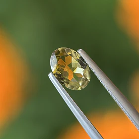 Turmalina-0.65ct-7.2x5.1x2.7mm