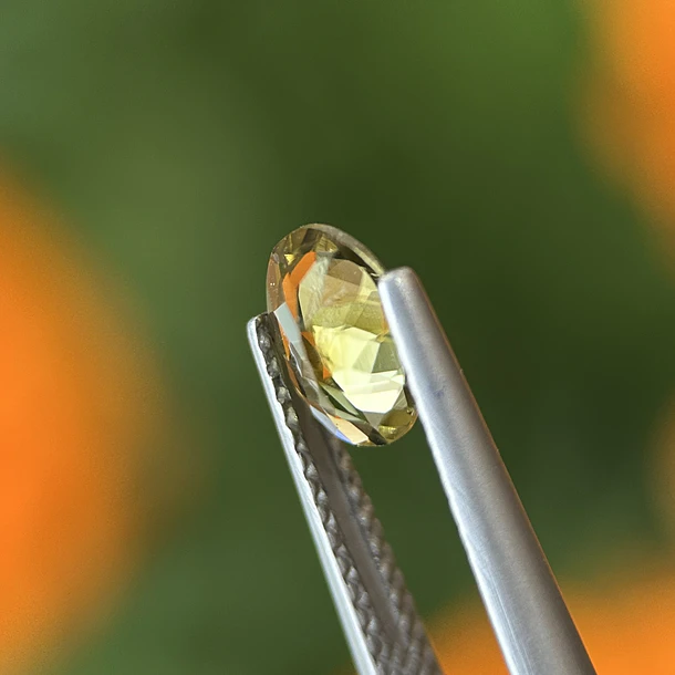 Turmalina-0.65ct-7.2x5.1x2.7mm 2